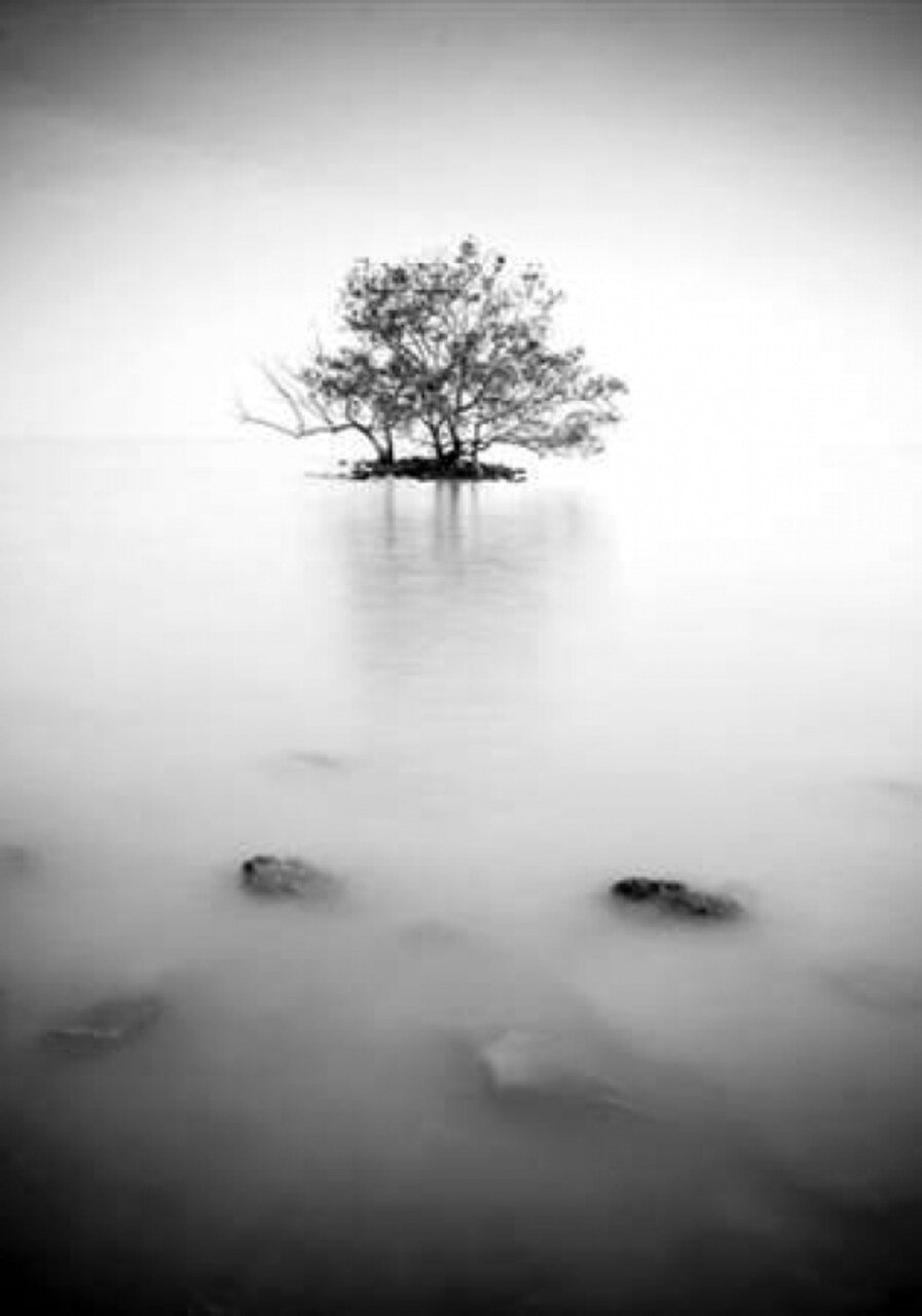 In the mist Poster Print by PhotoINC Studio - Item # VARPDXIN32172